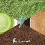 Matcha Vs. Café: Energía Natural y Sostenida