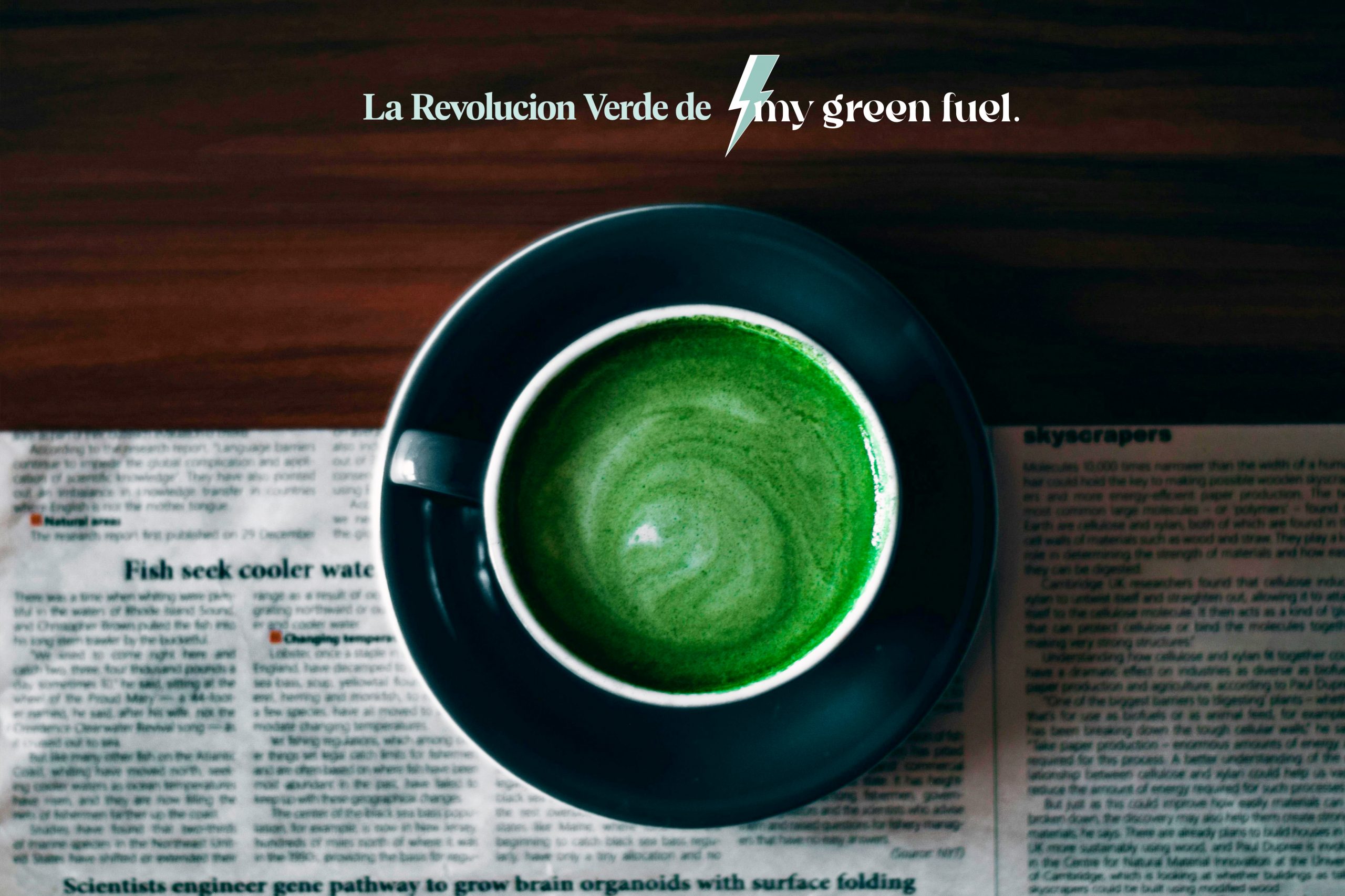 El Matcha que No Es Solo Matcha